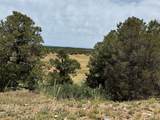  Badger Rd - Photo 7