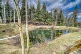 72 Gibson Road - Photo 31