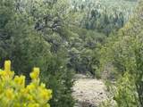 338 Cedar Ridge Road - Photo 3