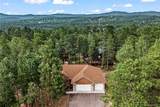 113 Flagstick Drive - Photo 39