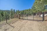 1385 Beaver Brook Canyon Road - Photo 3