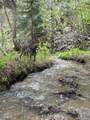1385 Beaver Brook Canyon Road - Photo 47