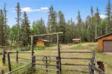 135 Daniwood Grove - Photo 5