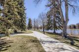 1313 Williams Street - Photo 40