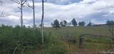 Lot 1720 Fitts Place - Photo 7