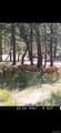 23967 High Timber Lane - Photo 47