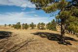 24063 County Road 122 - Photo 45