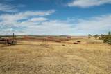 24063 County Road 122 - Photo 46