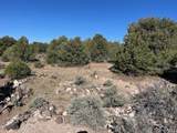 Lot 4 Elk Park Road - Photo 11