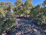 Lot 4 Elk Park Road - Photo 12
