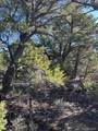 Lot 4 Elk Park Road - Photo 13