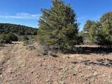 Lot 4 Elk Park Road - Photo 14