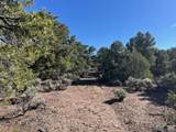 Lot 4 Elk Park Road - Photo 15