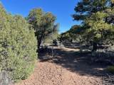 Lot 4 Elk Park Road - Photo 16