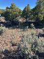 Lot 4 Elk Park Road - Photo 21