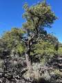 Lot 4 Elk Park Road - Photo 23