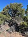 Lot 4 Elk Park Road - Photo 24