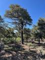Lot 4 Elk Park Road - Photo 27
