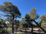 Lot 4 Elk Park Road - Photo 28