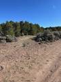 Lot 4 Elk Park Road - Photo 5