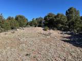 Lot 4 Elk Park Road - Photo 8