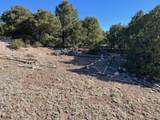 Lot 4 Elk Park Road - Photo 9
