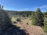 Lot 4 Elk Park Road - Photo 10