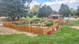 9209 Nassau Avenue - Photo 13