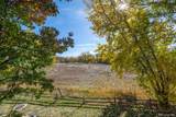 1111 Elysian Field Drive - Photo 29