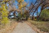 1111 Elysian Field Drive - Photo 39