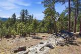 226 Bear Drive - Photo 46