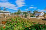 809.5 Montana Street - Photo 17
