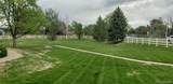 1010 Opal Street - Photo 29