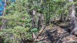 3075 Mountain Estates Road - Photo 12