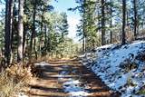 12778 Greenland Acres Road - Photo 1