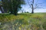 23655 Garrett Road - Photo 11