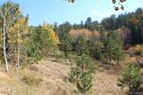 2020 Shelton Drive - Photo 1