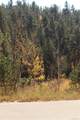 2020 Shelton Drive - Photo 8