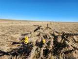 1 Co Rd 103 - Photo 1