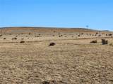 1 Co Rd 103 - Photo 2