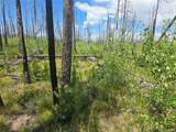 1460 & 1470 Von Hyle Lane - Photo 3