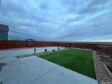 3075 Nectar Street - Photo 21