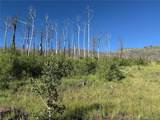 Lot 775 Forbes Park Road - Photo 6