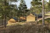 4 Sumner Road - Photo 6