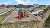 6421 Dry Fork Circle - Photo 28