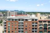 2229 Blake Street - Photo 40