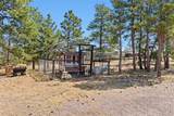 32030 Cattle Circle - Photo 48