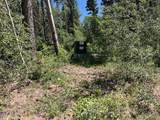 Lot 2449 Petito Drive - Photo 13