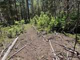 Lot 2449 Petito Drive - Photo 9