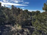 1433 Marion Road - Photo 13